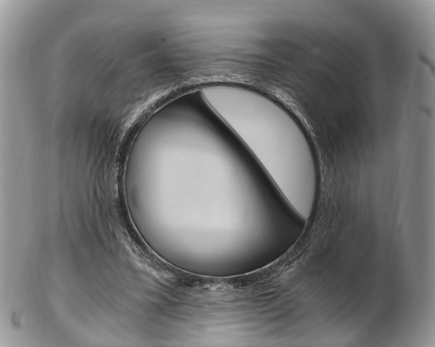 X0000103140395200808221109