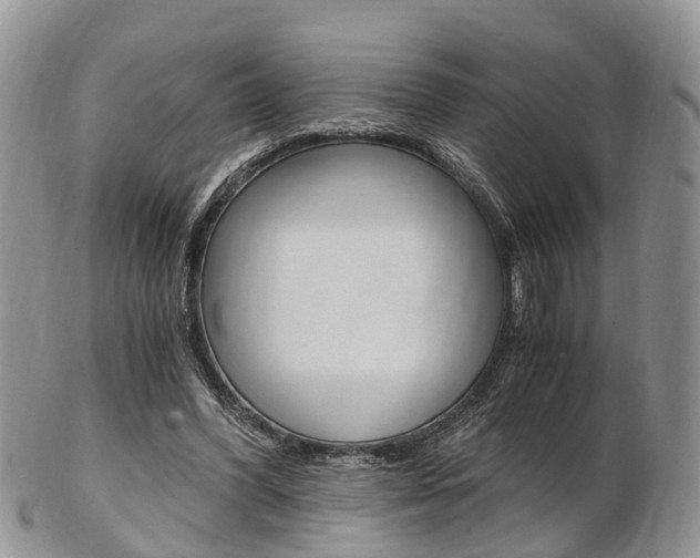 X0000103140396200808221109