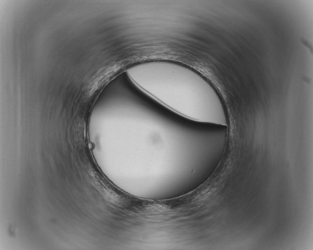 X0000103140397200808221109