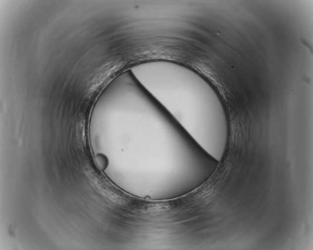 X0000103140398200808221109