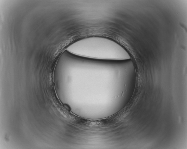 X0000103140401200808221109