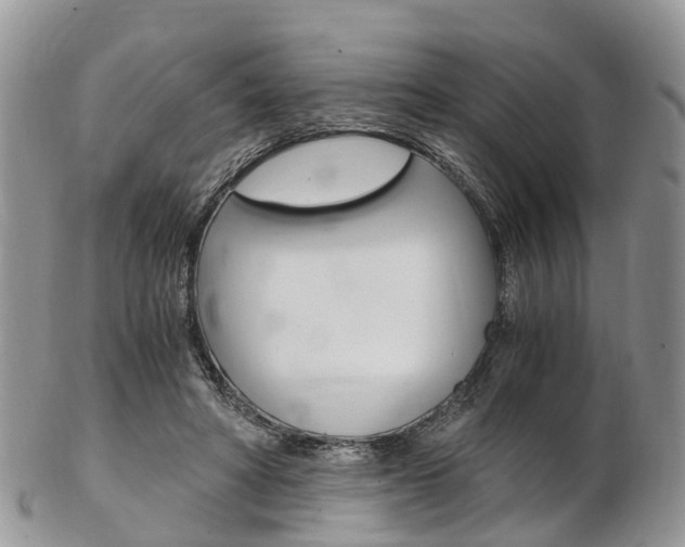 X0000103140402200808221109