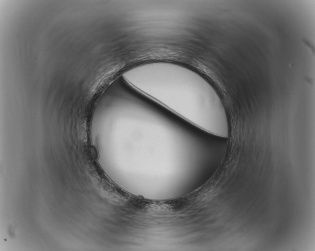X0000103140403200808221109