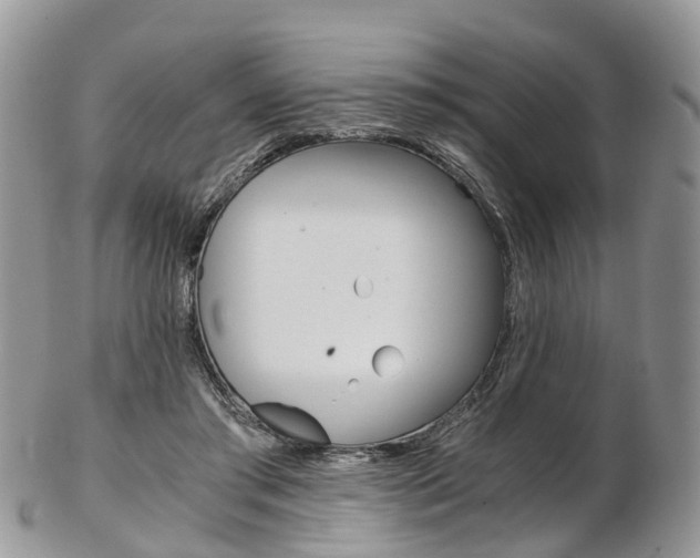 X0000103140405200808221109