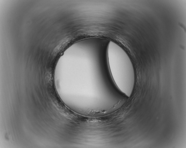 X0000103140407200808221109