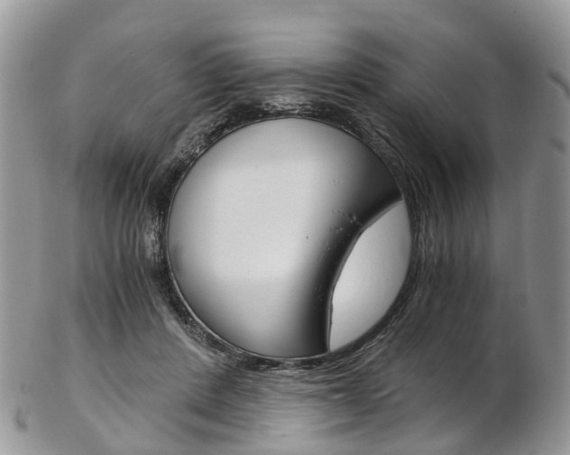 X0000103140408200808221109