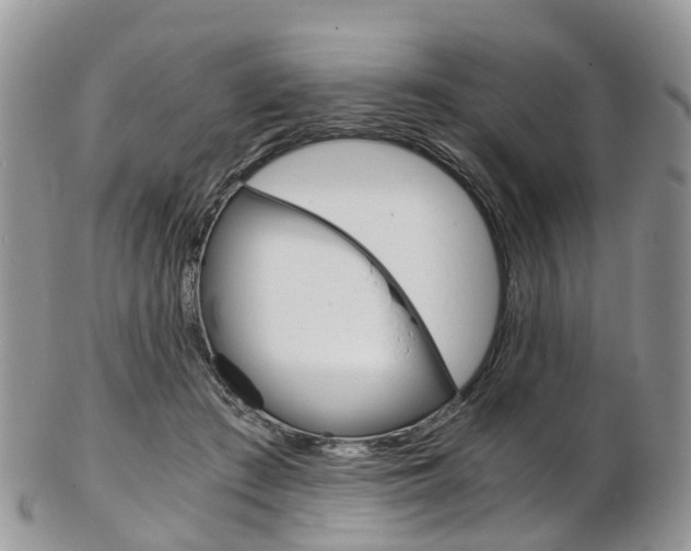 X0000103140409200808221109
