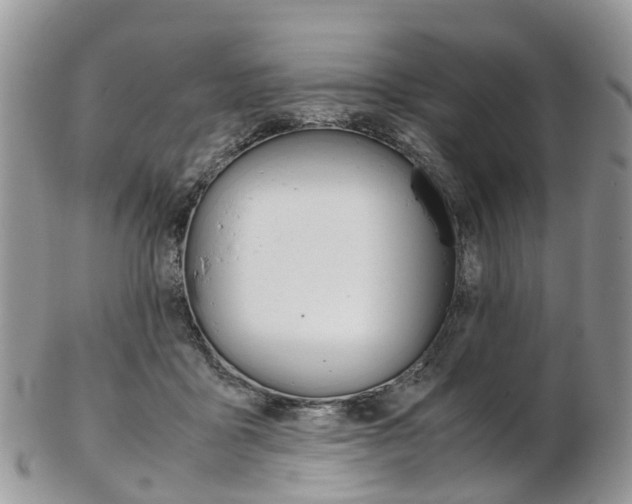 X0000103140411200808221109