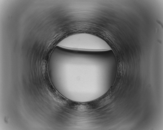 X0000103140412200808221109