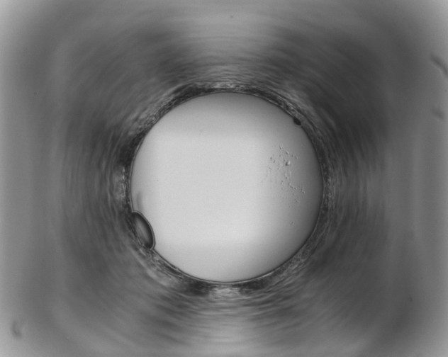 X0000103140413200808221109
