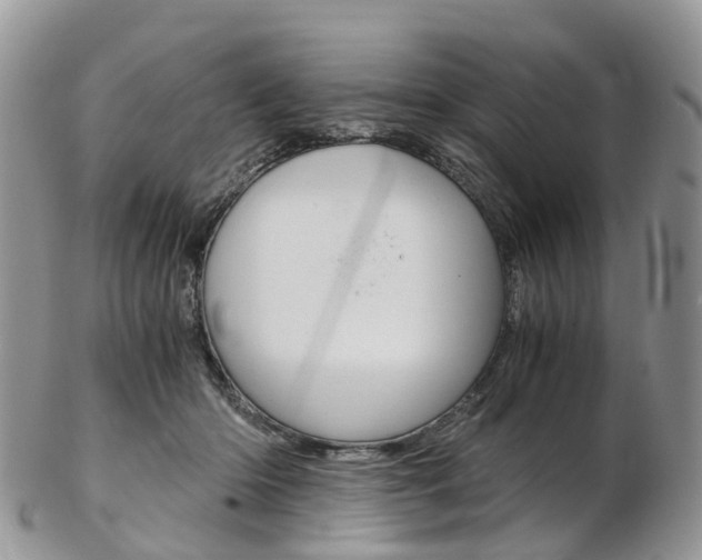 X0000103140414200808221109