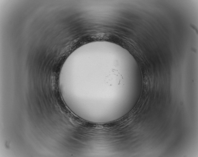 X0000103140416200808221109
