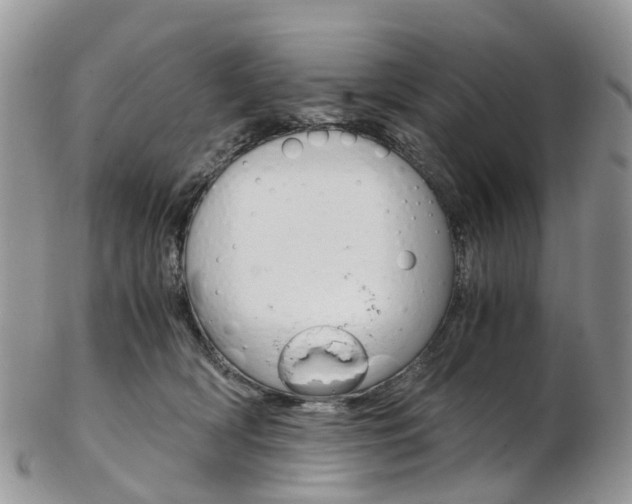 X0000103140418200808221109