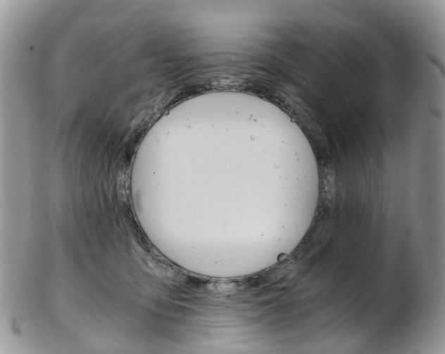 X0000103140419200808221109
