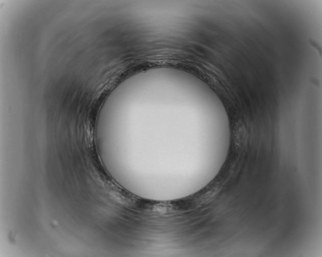 X0000103140420200808221109