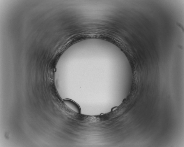 X0000103140421200808221109