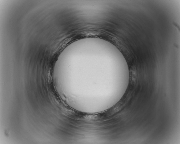 X0000103140422200808221109