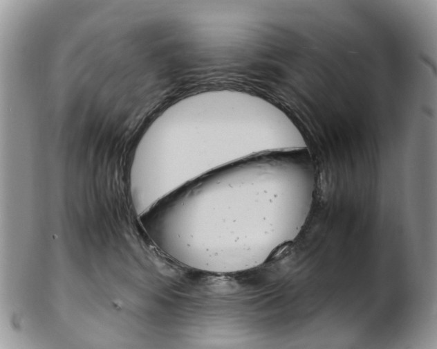 X0000103140424200808221109