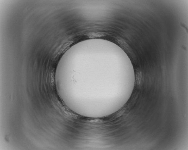 X0000103140426200808221108