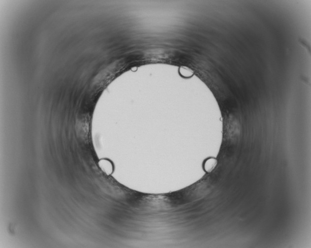 X0000103140427200808221108