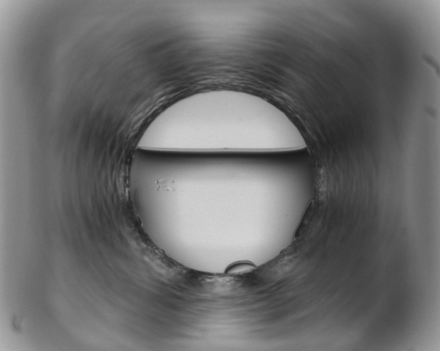 X0000103140428200808221108