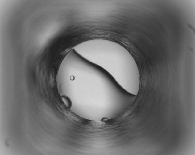 X0000103140429200808221108
