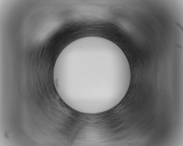 X0000103140431200808221108