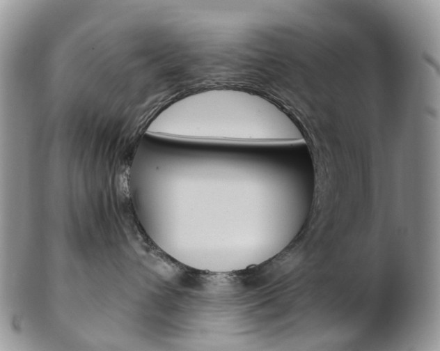X0000103140432200808221108