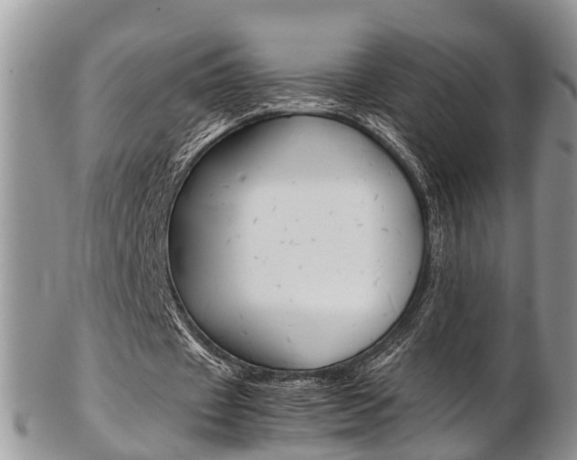 X0000103140433200808221108