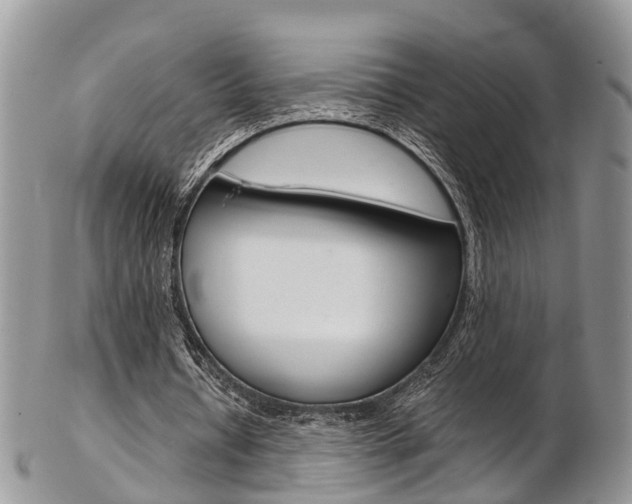 X0000103140434200808221108
