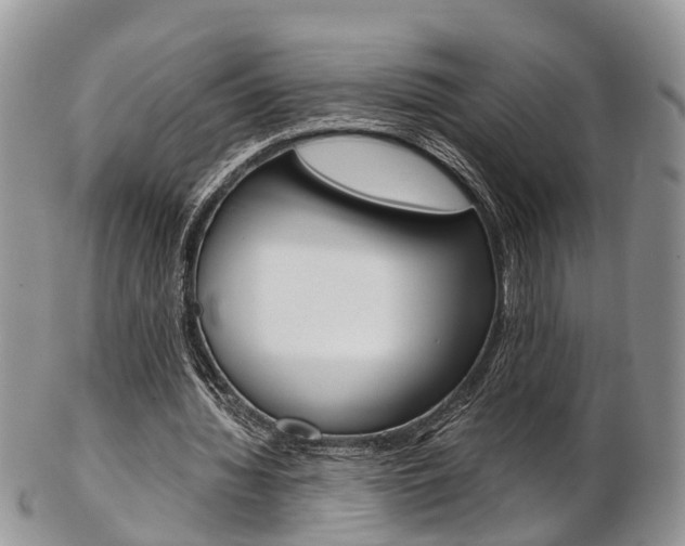 X0000103140436200808221108