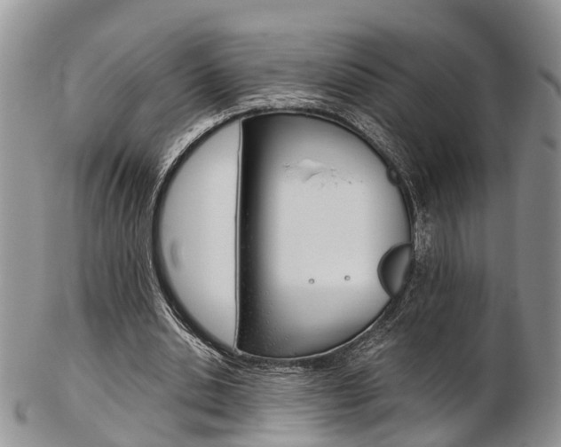 X0000103140438200808221108