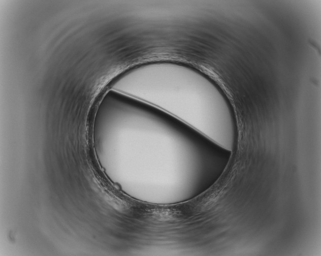 X0000103140439200808221108