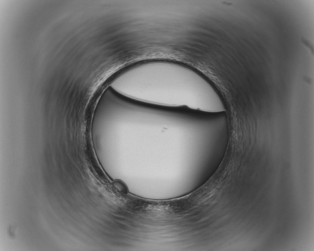 X0000103140440200808221108