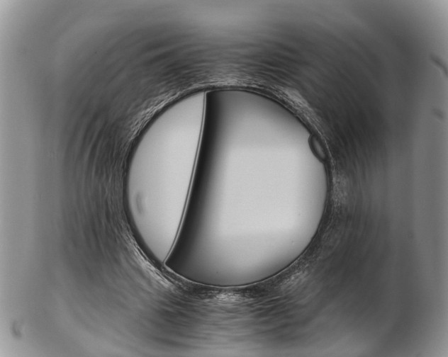 X0000103140441200808221108