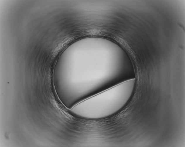 X0000103140442200808221108