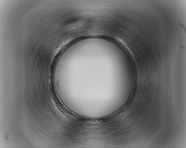 X0000103140443200808221108