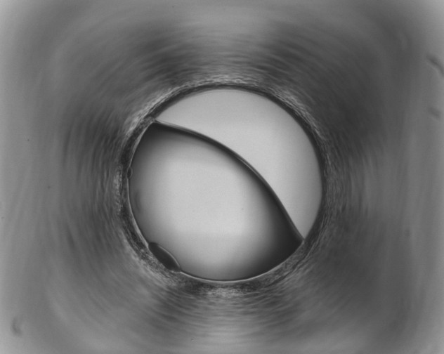 X0000103140444200808221108
