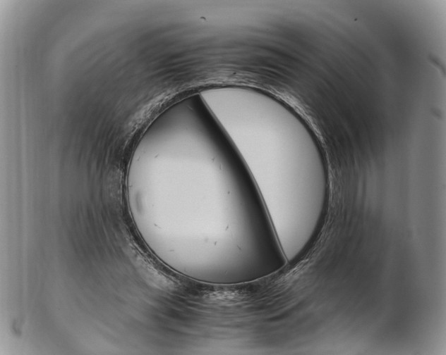 X0000103140445200808221108