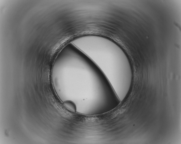 X0000103140446200808221108