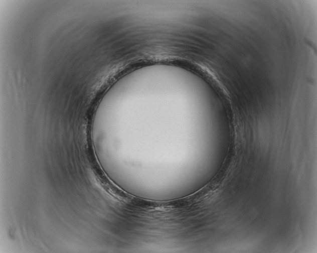 X0000103140447200808221108