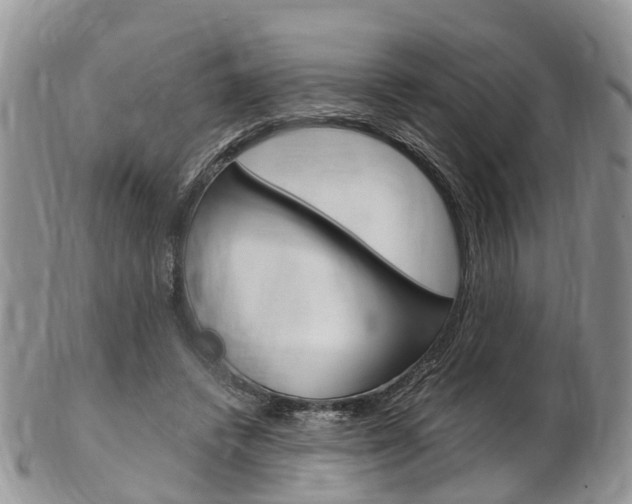 X0000103140448200808221108