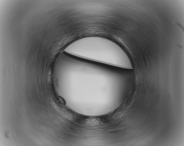 X0000103140451200808221108