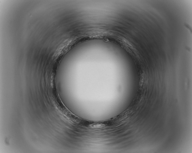 X0000103140452200808221108