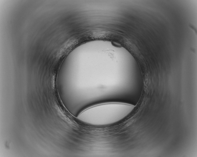 X0000103140454200808221108