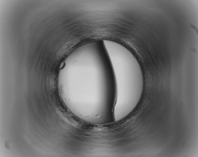 X0000103140455200808221108