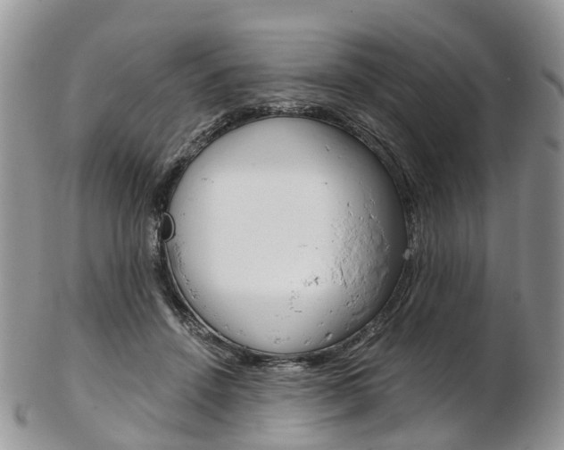 X0000103140456200808221108