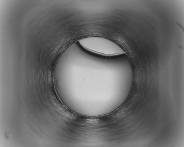 X0000103140457200808221108