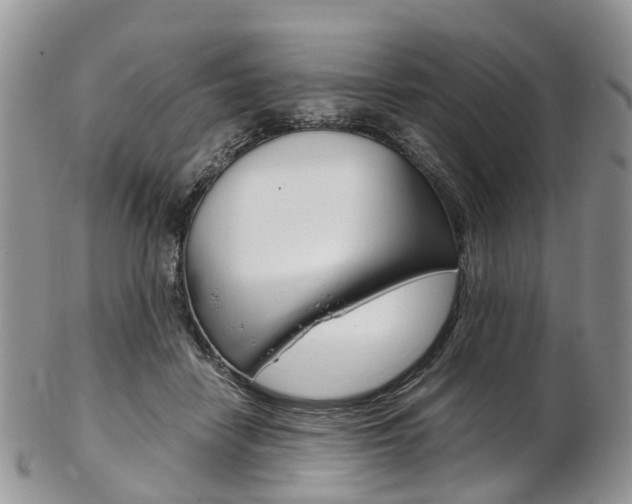 X0000103140458200808221108