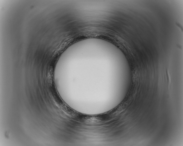 X0000103140460200808221108